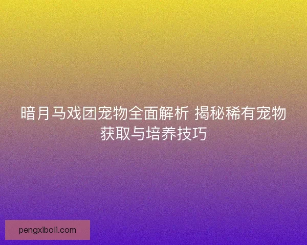 暗月马戏团宠物全面解析 揭秘稀有宠物获取与培养技巧