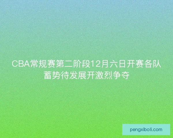 CBA常规赛第二阶段12月六日开赛各队蓄势待发展开激烈争夺 CBA常规赛第二阶段12月六日开赛各队蓄势待发展开激烈争夺