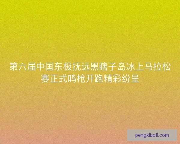第六届中国东极抚远黑瞎子岛冰上马拉松赛正式鸣枪开跑精彩纷呈